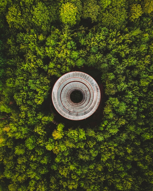 article