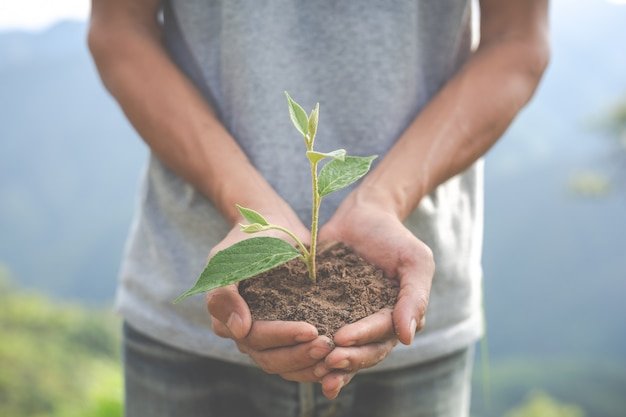 Systèmes de suivi solaire photovoltaïque : +15 à +40 % de production, LCOE en baisse et ROI accéléré
